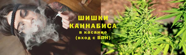 ECSTASY Богданович