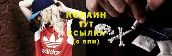 ECSTASY Богданович