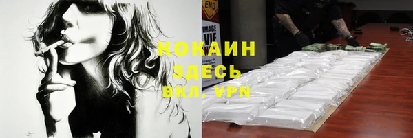 молекула духа Богородск
