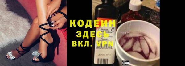 ECSTASY Богданович
