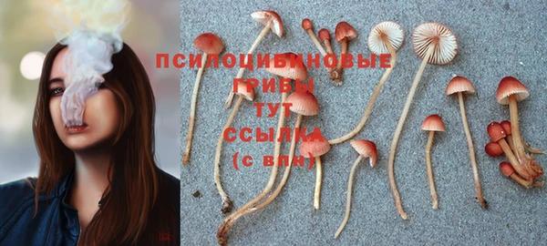 молекула духа Богородск