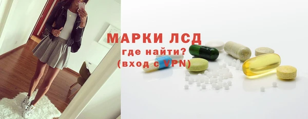 ECSTASY Богданович