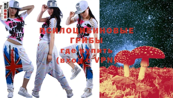 ECSTASY Богданович