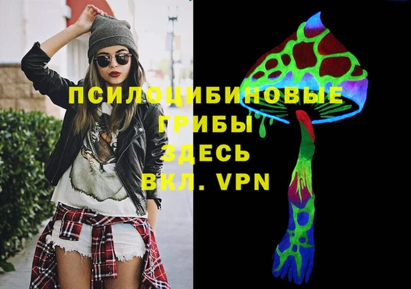 ECSTASY Богданович