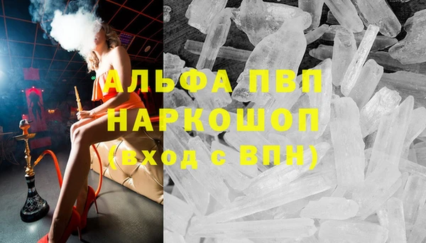 ECSTASY Богданович