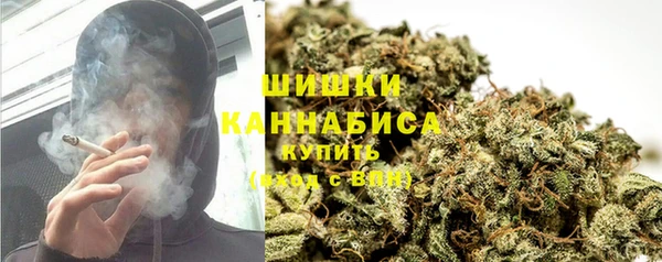 молекула духа Богородск
