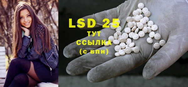 ECSTASY Богданович