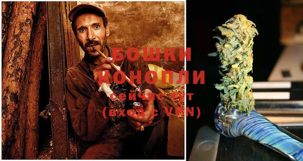 ECSTASY Богданович